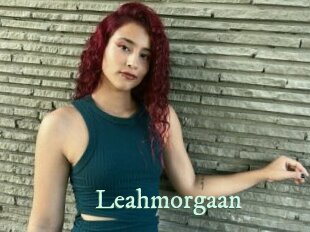 Leahmorgaan