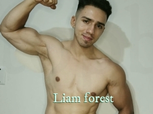 liam_forest Top Blog X
