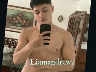 liamandrewz Top Blog X
