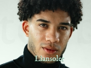 liansoler Top Blog X