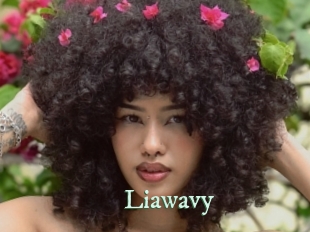 liawavy Top Blog X