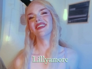 lillyamore Top Blog X