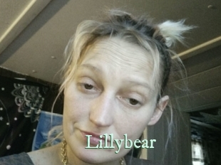 lillybear Top Blog X