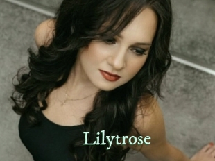 Lilytrose
