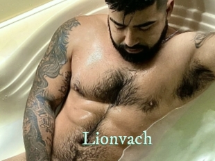 lionvach Top Blog X