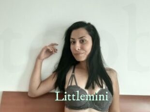 Littlemini