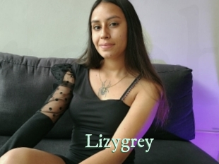 lizygrey Top Blog X