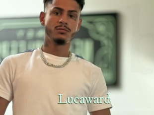 lucaward Top Blog X