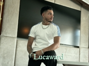lucaward Top Blog X