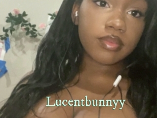 lucentbunnyy Top Blog X