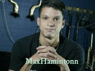 MaxHamintonn
