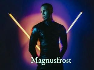 magnusfrost Top Blog X