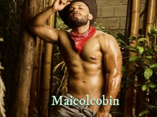 maicolcobin Top Blog X