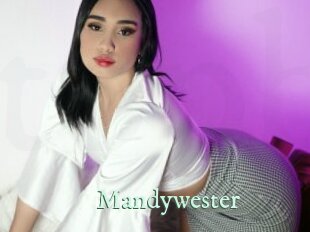 mandywester Top Blog X