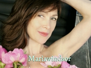mariawindsor Top Blog X