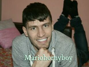 Mariohornyboy