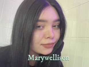 marywellison Top Blog X