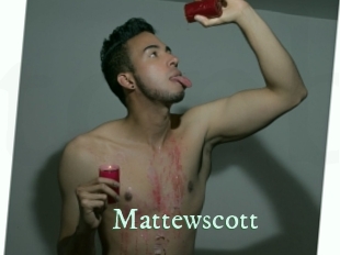 mattewscott Top Blog X