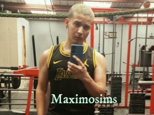 Maximosims