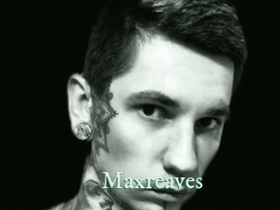 maxreaves Top Blog X