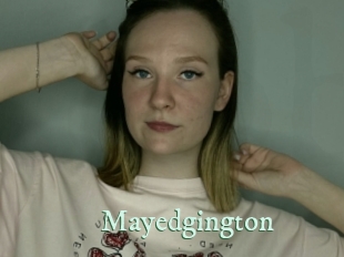 mayedgington Top Blog X
