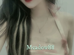 meadow88 Top Blog X