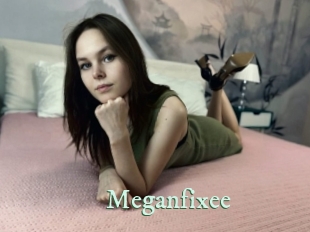 Meganfixee