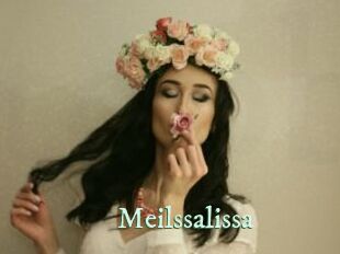 Meilssalissa