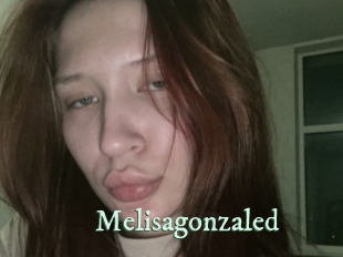 Melisagonzaled