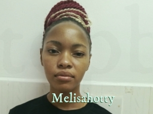 melisahotty Top Blog X