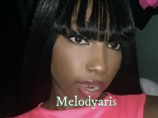 melodyaris Top Blog X
