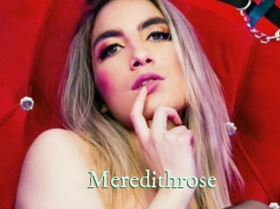 meredithrose Top Blog X