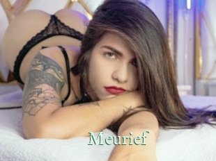 meurief Top Blog X