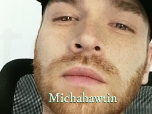 michahawtin Top Blog X