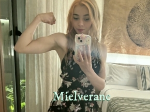 mielverane Top Blog X