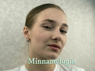 minnamelugin Top Blog X