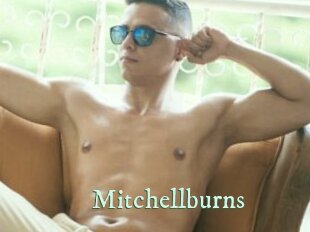 Mitchellburns