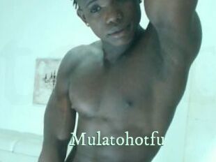 Mulatohotfu