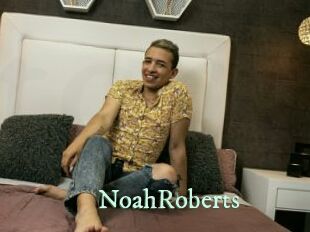 NoahRoberts