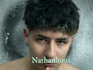 nathanboos Top Blog X