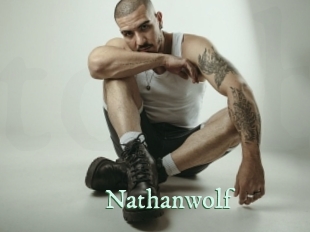 nathanwolf Top Blog X