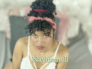 Nayinameli