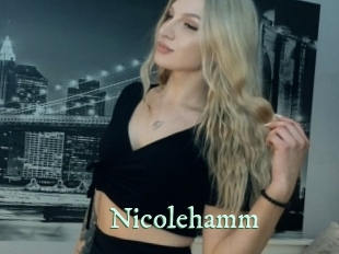 nicolehamm Top Blog X