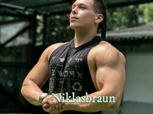 niklasbraun Top Blog X