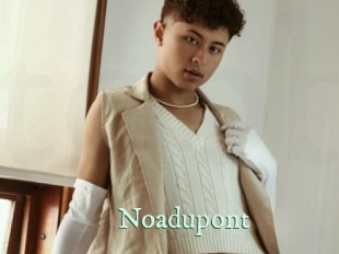 noadupont Top Blog X