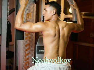 noahvolkov Top Blog X