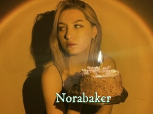 norabaker Top Blog X