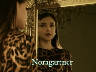 Noragartner
