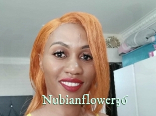 nubianflower36 Top Blog X