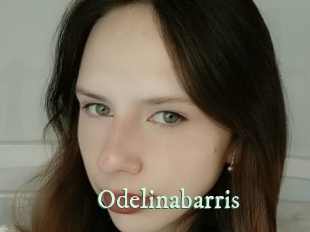 odelinabarris Top Blog X